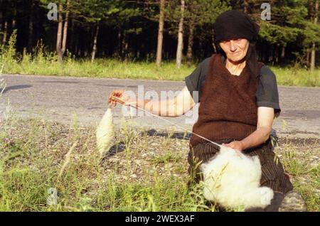 Vrancea County, Romania, approx. 1996. Elderly woman spinning wool the old-fashioned way while tending her cows in a pasture. Stock Photo