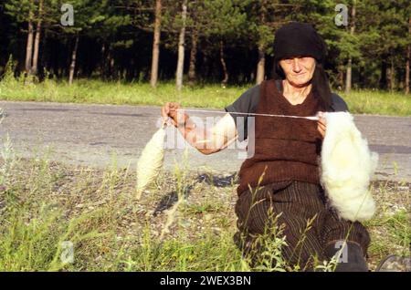 Vrancea County, Romania, approx. 1996. Elderly woman spinning wool the old-fashioned way while tending her cows in a pasture. Stock Photo