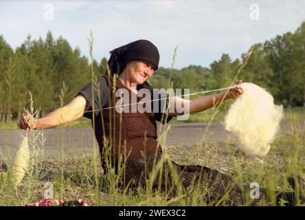 Vrancea County, Romania, approx. 1996. Elderly woman spinning wool the old-fashioned way while tending her cows in a pasture. Stock Photo