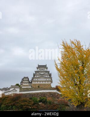 Himeji castle with autumn blue sky white cloud, frame one of japan's best destination for travel, Hyogo Japan. Stock Photo