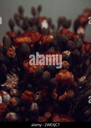 colorful carnation flower bouquet close up vintage Stock Photo