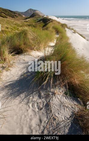 Wharariki beach on the South island of New Zealand Stock Photo