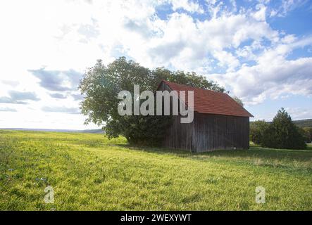 Old barn in the summer sun Stock Photo