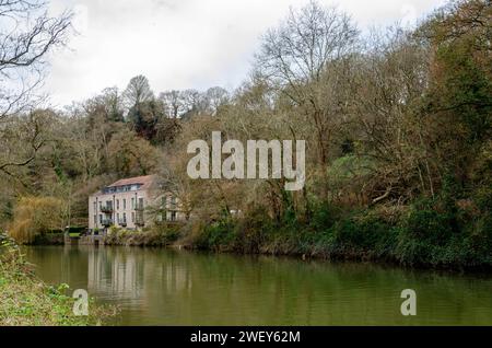 Bristol, Gloucestershire, England December 17 2023 - House on the banks of the river Avon shaded by a willow tree Stock Photo