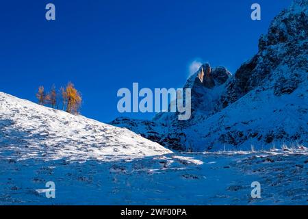 The snow-covered summit of Cimon della Pala of the Pala group, seen from below Passo Rolle pass after sunrise in winter. San Martino di Castrozza Tren Stock Photo
