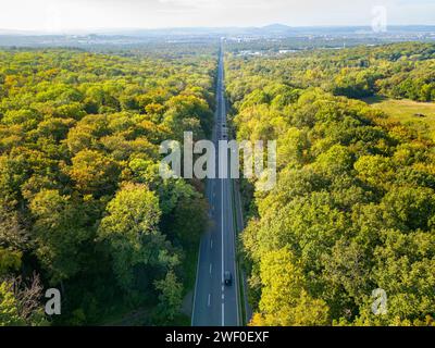 Aerial view of a straight road going through the green forest in the sunlight Stock Photo