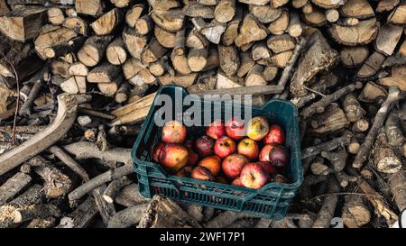 Apples in the firewood Stock Photo