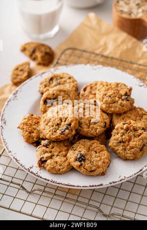 Healthy breakfast cookies with oats, banana and dry cranberry on a plate Stock Photo