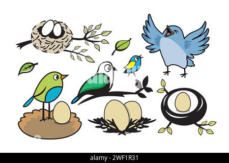 Set of birds in the nest with eggs and leaves. Vector illustration. Stock Vector