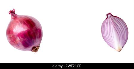 Top view of fresh red or purple onion with slice or quarter in set is isolated on white background with clipping path. Stock Photo