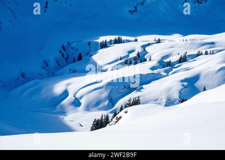 Winter landscape at the foot of the mountain Riedberger Horn in Kleinwalsertal valley, seen from the ascent to the mountain Hählekopf. Stock Photo
