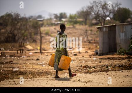 Juba, South Sudan. 26th Jan, 2024. A woman walks along the road with cans of water. Credit: Michael Kappeler/dpa/Alamy Live News Stock Photo