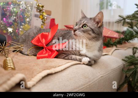 Cleaning up Christmas tree decorations in the home room after Christmas is over. Preparing for the New Year's celebration and unpacking the decor Stock Photo