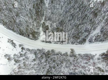 Road bend in winter surrounded by forest, Lithuania Stock Photo