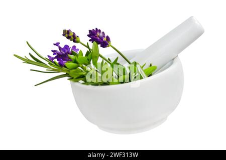 Various herbs and white mortar isolated on white background Stock Photo