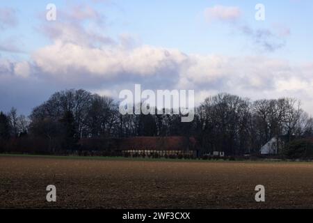 Barn in the Trees Stock Photo
