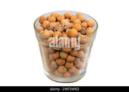 LECA clay balls for Indoor plants in a transparent Vase Stock Photo