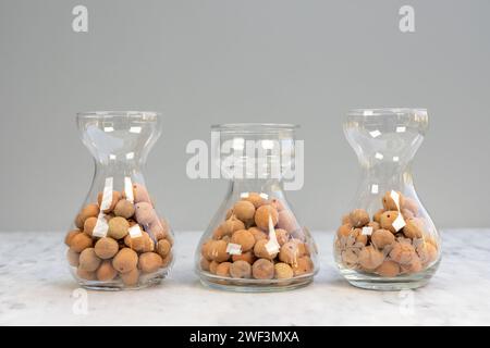 Expanded clay pellets for indoor plants in a semi hydroponics farming Stock Photo