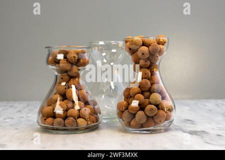 Clay pebbles for hydroponic gardening in a transparent glass vase Stock Photo