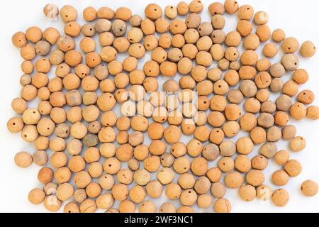 Light weight expanded aggregate clay balls closeup Stock Photo