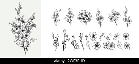 Blooming branch of sakura, apple tree, peach. Realistic outline hand drawing of beautiful flowers with buds and leaves, a set of elements for logo, we Stock Vector