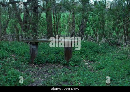 lonely bench Stock Photo