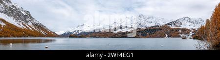 Lake Silsersee in autumn with snowcapped mountains, near St. Moritz, Switzerland Stock Photo