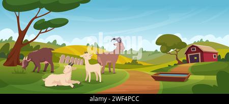 Farm animals. Goats standing and walking on farm background outdoor landscape exact farm for organic food production Stock Vector