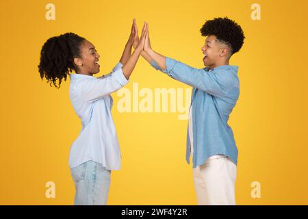 Enthusiastic young African American woman and man high-fiving each other Stock Photo