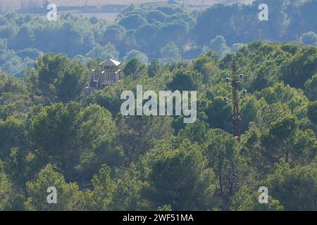 Backlit pine forest in the Parc Natural dels Voltors de Alcoi with a vulture observation tower between pine tree crowns. Spain Stock Photo
