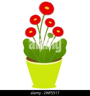 Daisy flower in a pot on a white background. Stock Vector