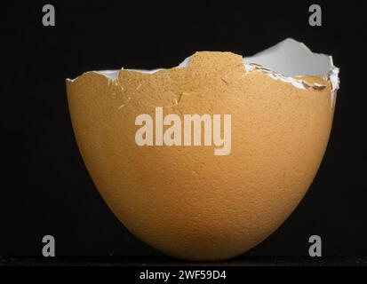 Cracked egg shell on dark surface with black background Stock Photo