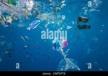 Juvenile damselfish school underwater around plastic bags and waste of various kinds in blue water off Baucau, The Democratic Republic of Timor-Leste. Stock Photo