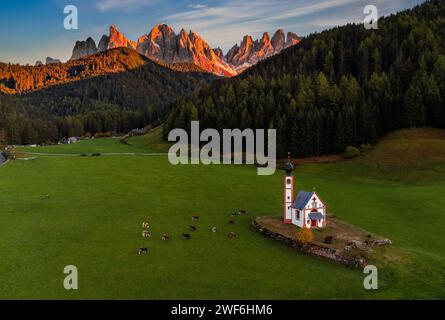 Val Di Funes, Dolomites, Italy - Aerial view of the beautiful St. Johann Church (Chiesetta di San Giovanni in Ranui) at South Tyrol with cows and the Stock Photo