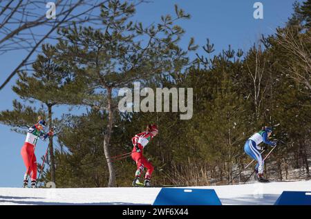 Pyeongchang, South Korea. 29th Jan, 2024. Athletes compete during the quarterfinal of the Women's Sprint Free of Cross-Country Skiing event at the Gangwon 2024 Winter Youth Olympic Games in Pyeongchang, South Korea, Jan. 29, 2024. Credit: Hu Huhu/Xinhua/Alamy Live News Stock Photo