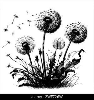 Sketch Decorative blooming dandelions with fluffy flying seeds vector background illustration. Hand drawn fluffy dandelions Stock Vector