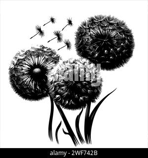 Sketch Abstract Dandelions dandelion with flying seeds, vector hand drawn Stock Vector