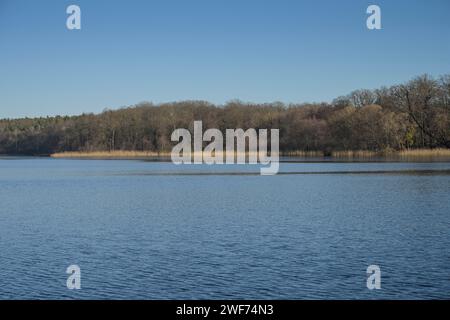 Sacrower See, Potsdam, Brandenburg, Deutschland Stock Photo