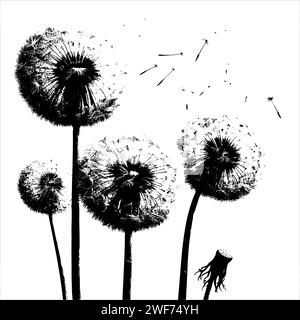 Sketch Abstract Dandelions dandelion with flying seeds, vector hand drawn Stock Vector