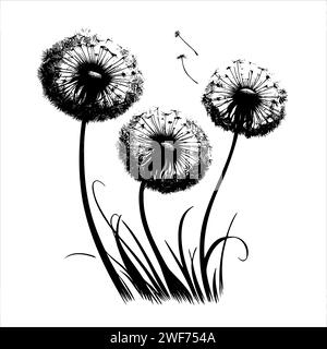 Sketch Decorative blooming dandelions with fluffy flying seeds vector background illustration. Hand drawn fluffy dandelions Stock Vector