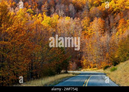 Autumn in Vasilitsa mountain, Pindus mountain range, Grevena, West Macedonia, Greece. Stock Photo