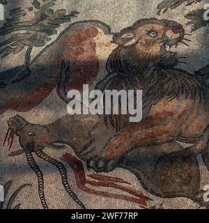 Female lion kills antelope. Late Roman mosaic in the Corridor of the Great Hunt, Villa Romana del Casale, Piazza Armerina, Sicily, Italy. Stock Photo