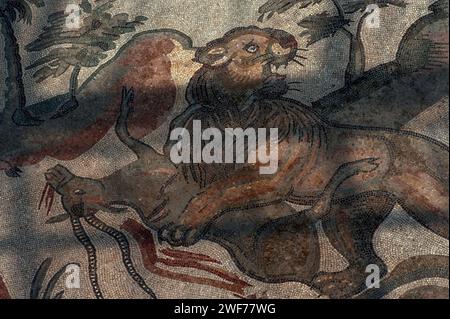 Female lion with her prey, an antelope. Late Roman mosaic in the Corridor of the Great Hunt, Villa Romana del Casale, Piazza Armerina, Sicily, Italy. Stock Photo