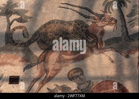 Antelope caught by a leopard. Late Roman mosaic in the Corridor of the Great Hunt, Villa Romana del Casale, Piazza Armerina, Sicily, Italy. Stock Photo