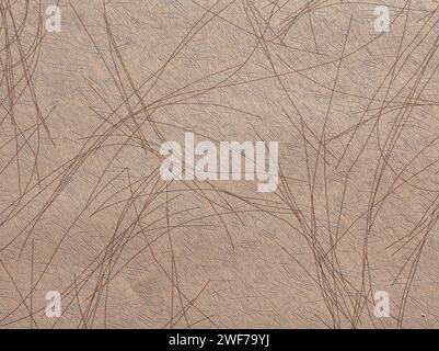 Abstract beige or light brown background or backdrop with decorative thin lines. Wallpaper with copy space for design. Stock Photo