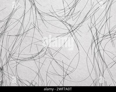 Abstract white background or backdrop with scribbled black lines. Wallpaper with copy space for design. Stock Photo