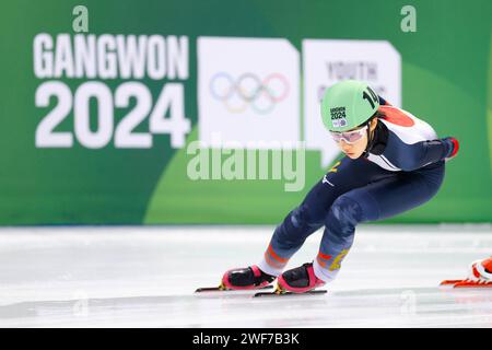 チャウヌTmoney 2023 2024 チャウヌTmoney 2023 2024 tmoneyカード