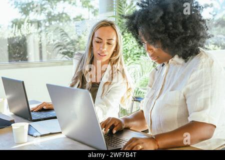 Female coworkers working with their laptops in the office. Business concept. Stock Photo