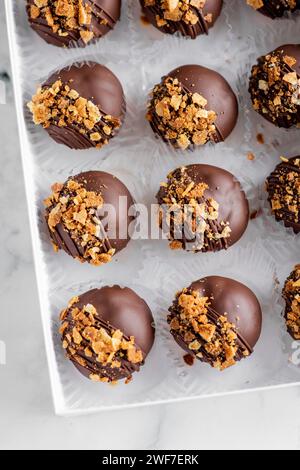 Profiterole, Round Chocolate Eclairs on a white surface Stock Photo