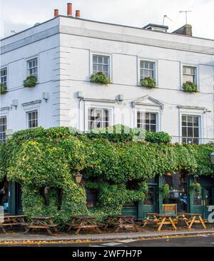 Exterior of The Hemingford Arms pub, on Hemingford Road in London, UK Stock Photo